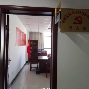 华体会买球党支部简介