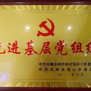 喜报！蓝锐公司党支部荣获“先进基层党组织”称号