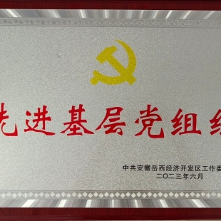 喜讯：蓝锐党支部荣获县经开区“先进基层党组织”