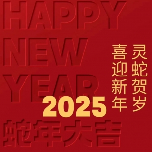 【灵蛇贺岁 巳巳如意】蓝锐科技给您拜大年了！