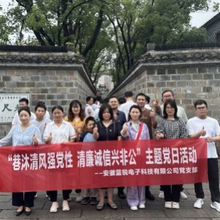 公司党支部到桐城六尺巷开展“巷沐清风强党性 清廉诚信兴非公”