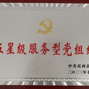 【红色七月】蓝锐党支部又获两项荣誉！