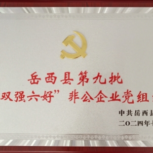 蓝锐党支部获岳西县第九批“双强六好”非公企业党组织、五星级服