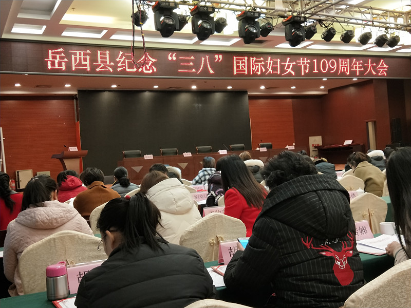 公司副总经理夏海清荣获“岳西县巾帼建功标兵”荣誉称号(图1) 1-2004250ZGV12.jpeg