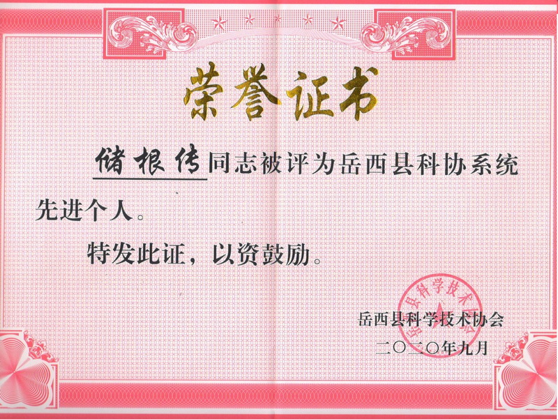 公司技术人员储根传荣获“岳西县科协系统先进个人”荣誉称号(图2) 1-201120163K3157.jpeg